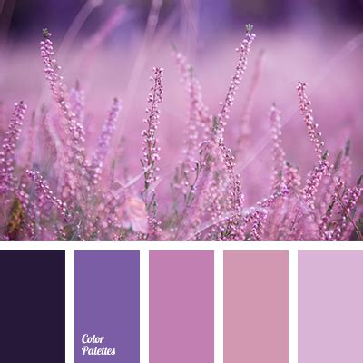 lavender colors | Color Palette Ideas