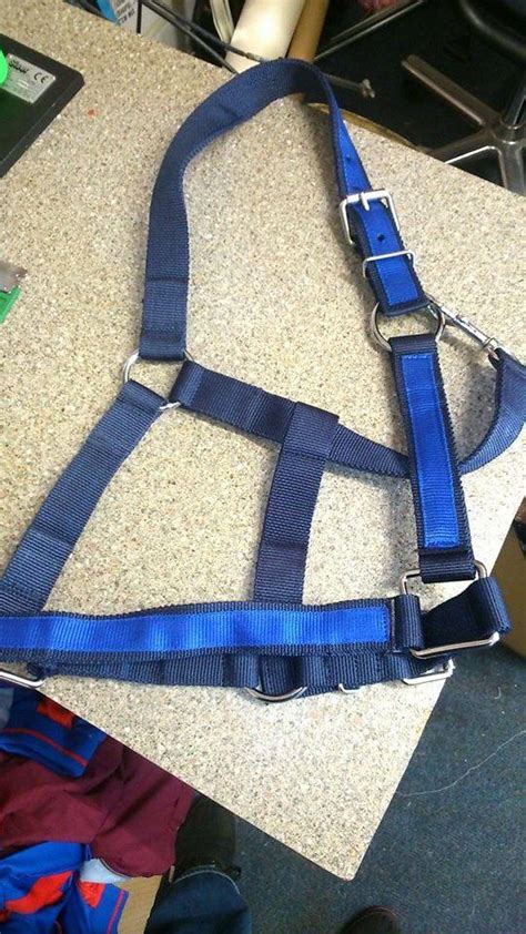 HEAVY HORSE HEADCOLLAR free delivery