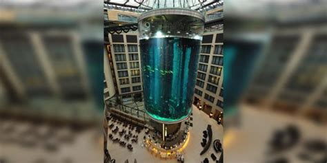 An enormous fish tank in a Berlin hotel lobby burst, spilling 250,000 ...