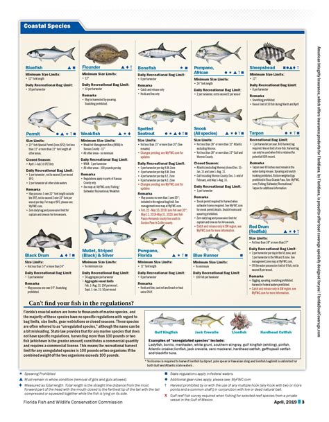 Texas Saltwater Fishing Regulations 2024 - Tiffi Gertrude