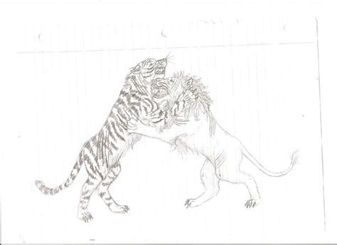 tiger lion fight by AtemusKitten on DeviantArt