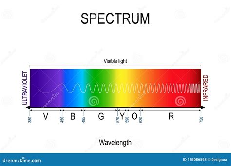 Visible Spectrum Color. Infographic Of Sunlight Color Cartoon Vector | CartoonDealer.com #155086593