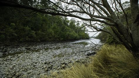 Nature — Tamar Valley Tasmania