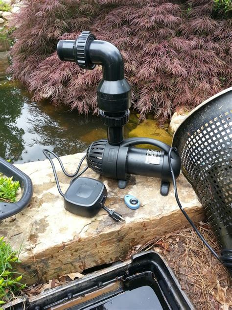 New Koi Pond Pump installation - Traditional - Landscape - Atlanta - by Paradise Ponds and ...