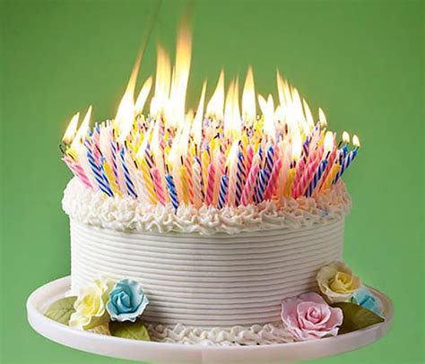 My Birthday Cake Candles Almost Started a Forest Fire - Santa Monica Daily Press