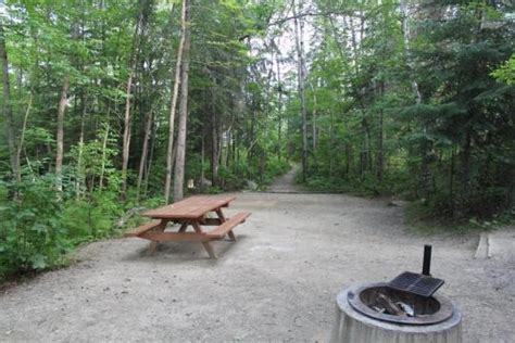 Superior National Forest Fall Lake Campground, Ely, MN - GPS, Campsites, Rates, Photos, Reviews ...