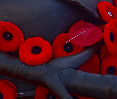 Canada’s Remembrance Day ceremonies mark 100-year anniversary of First ...