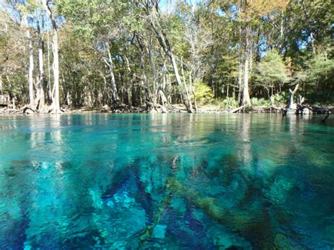 Kayaking Cypress Spring on Holmes Creek, Vernon FL | Northwest Florida Outdoor Adventure