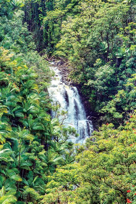 A visual journey through the Big Island's Hamakua district - Hawaii ...