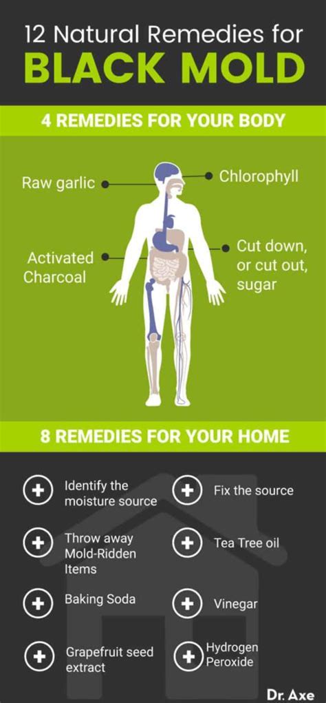 Black Mold Symptoms and 12 Natural Remedies - Dr. Axe