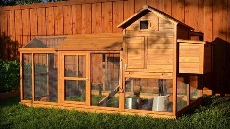 10 Best Chicken Coop Kits You Can Find on Amazon