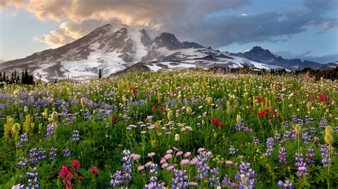 Mount Rainier · National Parks Conservation Association