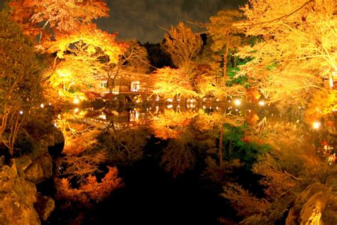 Best 5 Japanese Gardens in Autumn - Journey To The East