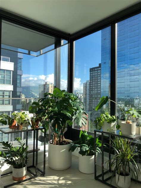 Just moved into a condo with a solarium/office. Plants have already ...