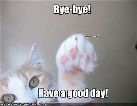 Bye, bye | Cute cats, Cat memes, Kitty