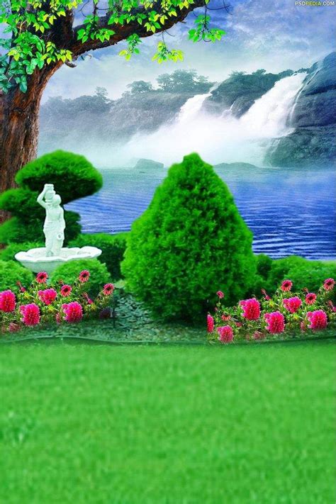 Relaxing Garden with Flowers and Trees