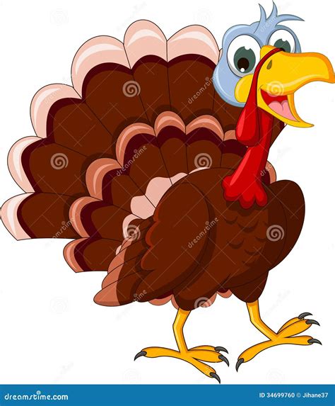 Funny Turkey Cartoon Posing Stock Illustration - Illustration of bird ...