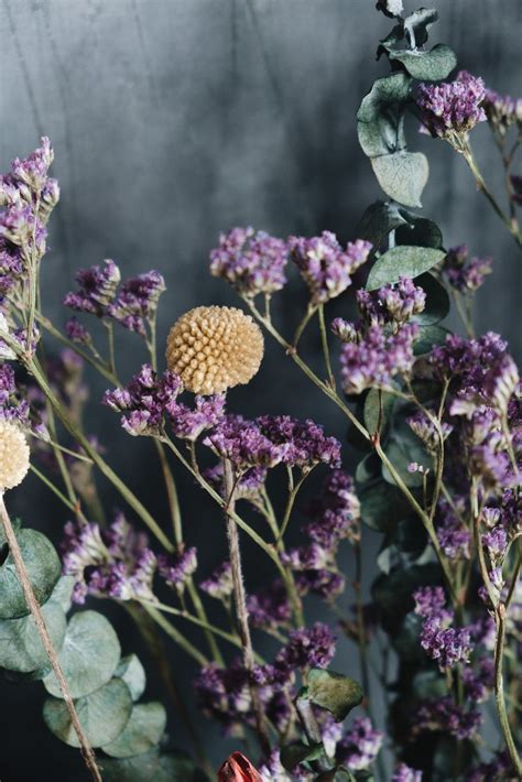 Delilah Jewel Toned Eucalyptus Dried Flower Bouquet / DRIED flowers UK