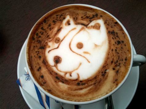 Waiter, There's a Cockroach in my Coffee! Unbelievable Latte Art - Platino