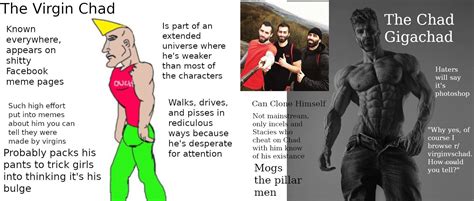 The Virgin Chad vs the Chad Gigachad : r/virginvschad