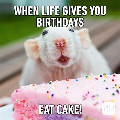 52 Funny Birthday Memes That Will Make Anyone Smile on Their Big Day