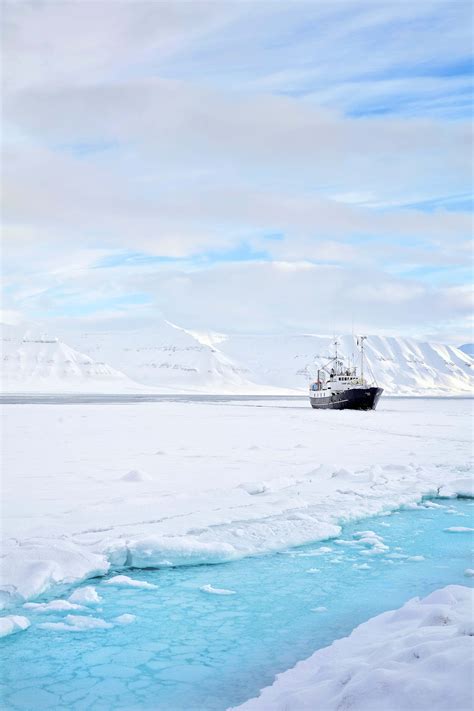 Travel Throwback: Svalbard's call of the Arctic - Lonely Planet