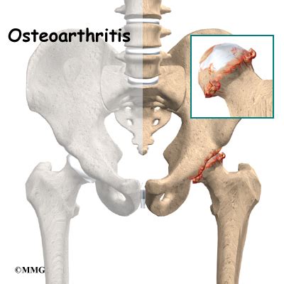 Conditions and Treatments