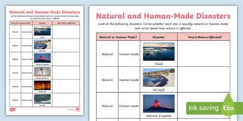 Natural and Human-Made Disasters Activity (teacher made)