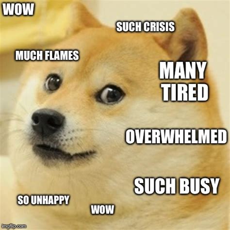 Doge Meme - Imgflip