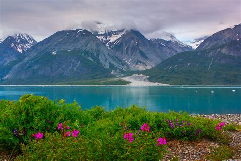 Glacier Bay National Park