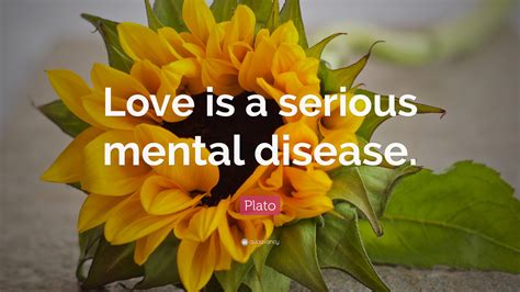 Plato Quote: “Love is a serious mental disease.”