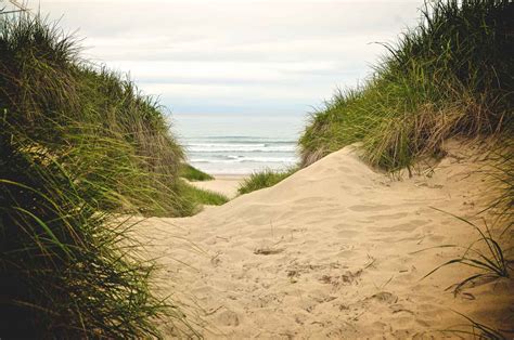 Your Guide to Nehalem Bay State Park - Oregon is for Adventure