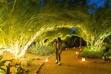 Las Noches de las Luminarias at Desert Botanical Garden | Tempe Tourism