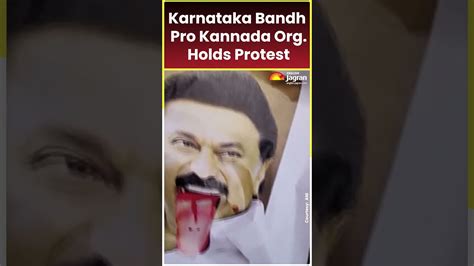 Karnataka Bandh Pro Kannada Organisations Hold Protest shortsfeed ...