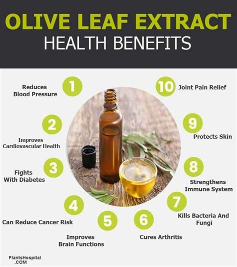 9 Proven Benefits of Olive Leaf Extract: Uses, Warnings & More