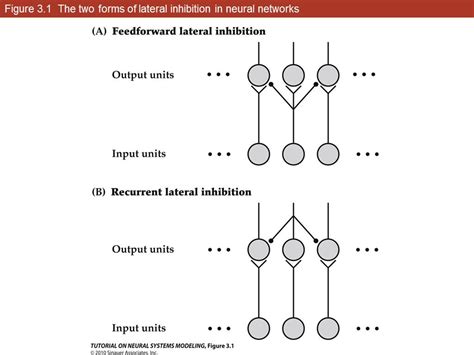 nanoHUB.org - Resources: [Illinois] MCB 493 Lecture 3: Forward and Recurrent Lateral Inhibition ...