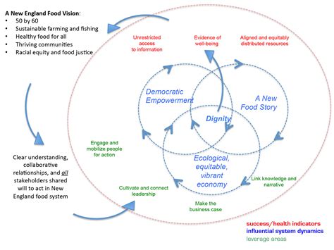 FSNE’s Systems Mapping & Strategy Development Process: a backgrounder ...