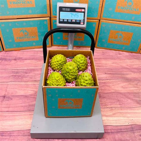 Cherimoya Fruit (Custard Apple) Box • Tropical Fruit Box