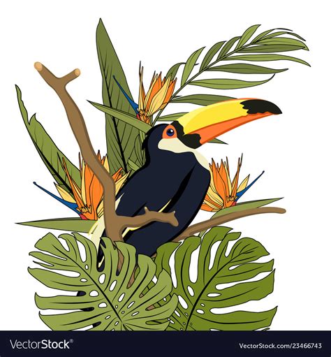 Toucan black bird with yellow beak in natural Vector Image