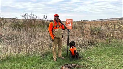 6 day Iowa Wild Pheasant hunt on IHAP Public Land. - YouTube