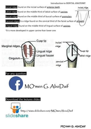 Introduction to Dental Anatomy | PDF