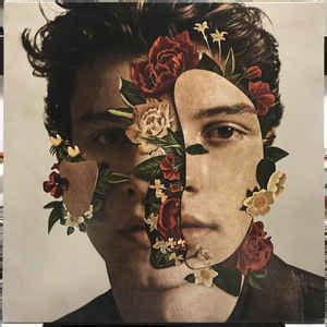 Shawn Mendes - Shawn Mendes (2018, Vinyl) | Discogs