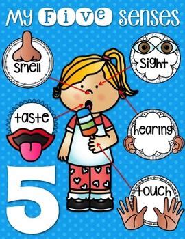 FREE Five Senses Anchor Charts | Five senses kindergarten, Senses preschool, Five senses preschool