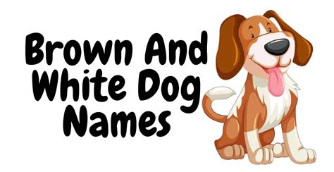 470+ Brown And White Dog Names Cool Unique & Creative