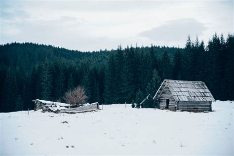 Free Images : tree, nature, forest, snow, winter, mountain range, hut, cabin, weather, season ...