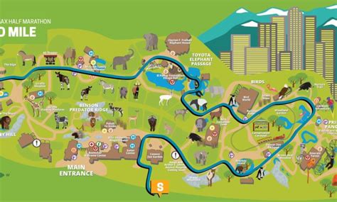 Denver Zoo Map Navigating The Wild Wonder – Blogs – Walltronix