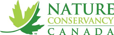 Nature Conservancy Of Canada Logo Vector - (.Ai .PNG .SVG .EPS Free Download)