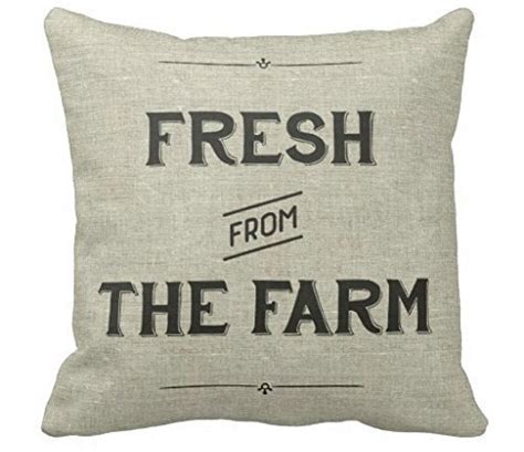 Farmhouse Style Pillows You Can Make or Buy | Knick of Time