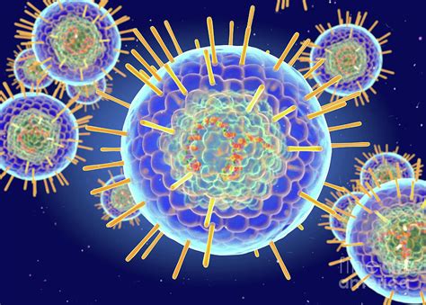 Herpes Simplex Virus Structure Photograph by Roger Harris/science Photo Library