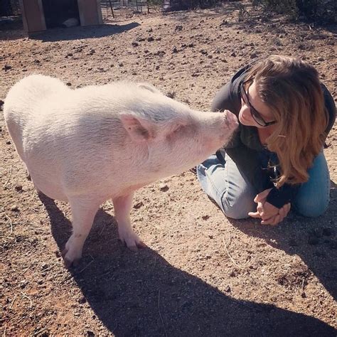 Arizona Pig Sanctuary | PS Smart Living